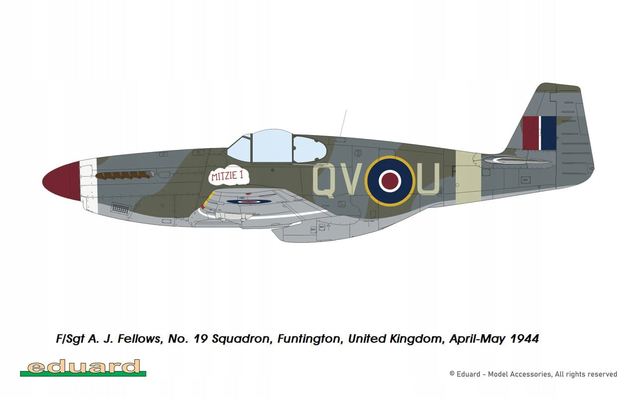 d19d0711fe72696d0d3257bcc1eb542c